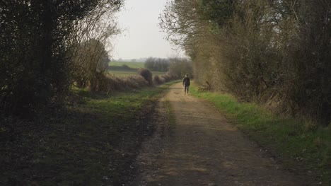 Wide-Shot-of-Person-Approaching-Camera-Along-Rural-Footpath