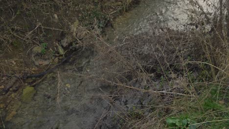 Panning-Shot-of-Stream-In-Rural-Countryside