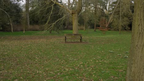 Tracking-Shot-Approaching-Empty-Bench-In-Park-