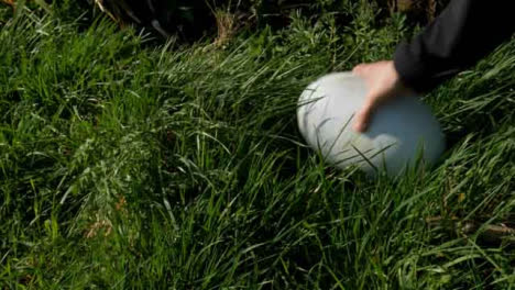 Medium-Shot-of-Rugby-Ball-Being-Removed-from-Tall-Grass