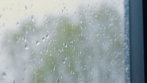 Pull-Focus-Shot-from-Trees-to-Rain-Drops-On-Window
