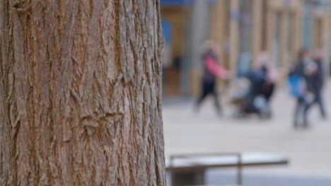 Panning-Close-Up-Shot-of-Tree-Trunk-as-Pedestrians-Walk-In-Background