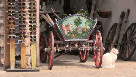 Nessebar-Bulgaria-cat-and-painted-cart