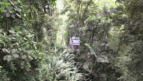 Costa-Rica-rainforest-looking-down-at-cable-cars