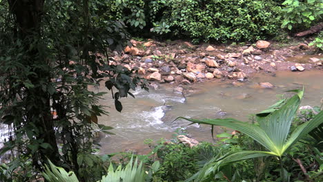 Costa-Rica-rainforest-stream