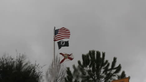 Banderas-De-Florida-Bajo-La-Lluvia