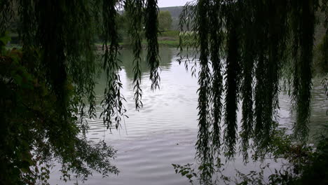 France-Marne-River-with-willows