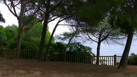 France-Riveria-coast-pines-and-railing