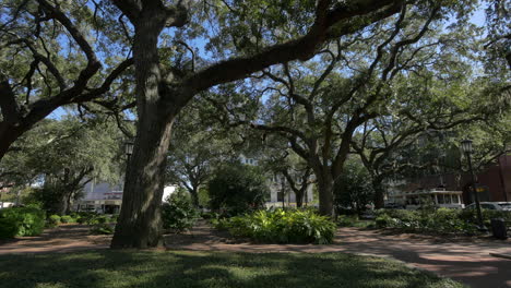 Savannah-Georgia-Oglethorpe-Square-with-trees
