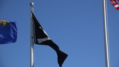 Tybee-Insel-Georgien-Piratenflagge