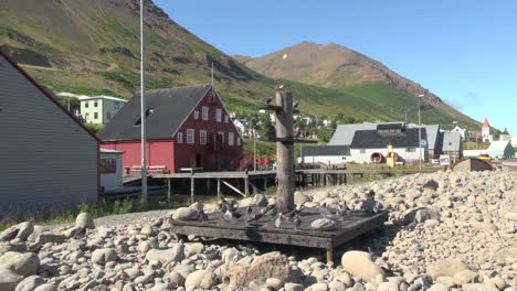 Iceland-Siglufjordur-pigeons-and-herring-museum