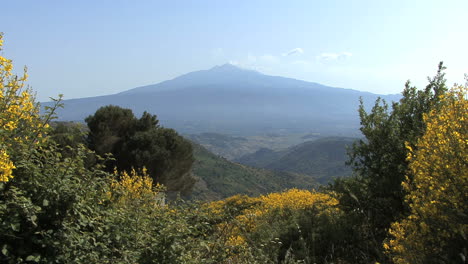 Sicily-Etna-and-yellow-flowers