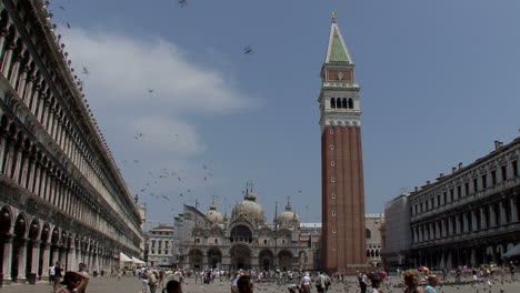 Venice-Italy-Saint-Mark's-with-birds