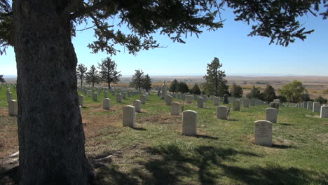 Little-Bighorn-Battlefield-National-Monument-cemetery-and-pine-tree