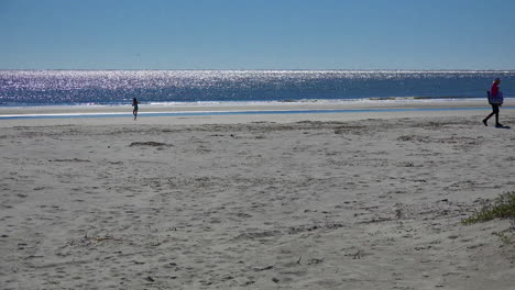 South-Carolina-people-on-a-sandy-beach-with-sun-on-water