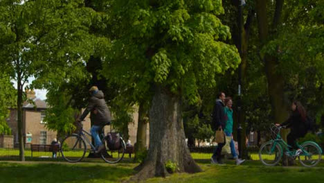 Tracking-Shot-Following-Pedestrians-Walking-Under-Trees-In-a-Public-Park-