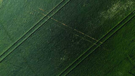 Drone-Shot-Flying-Over-Farmland-Field