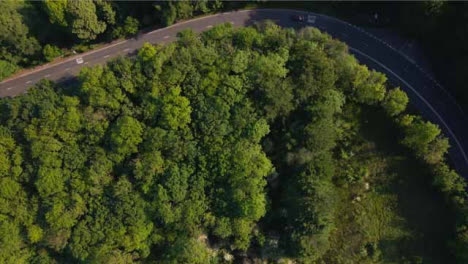 Drone-Shot-Flying-Over-Trees-and-Looking-Down-On-Countryside-Road
