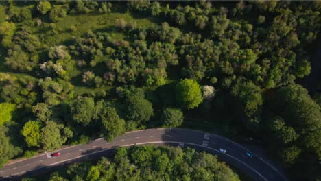 Drone-Shot-Flying-Over-Trees-and-Looking-Down-On-a-Countryside-Road