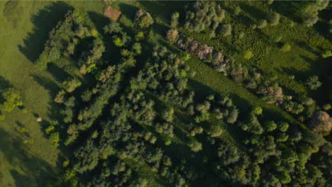 Drone-Shot-Rotating-as-It-Looks-Down-On-Trees