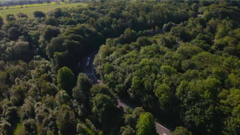 Drone-Shot-Approaching-Countryside-Road-Surrounded-By-Small-Woodland
