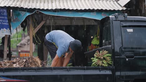 Long-Shot-of-Workers-Unloading-Bananas-from-Van
