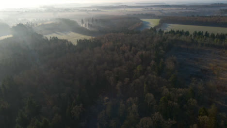 Drone-Shot-Flying-Over-Woodland-On-Misty-Morning