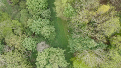Drone-Aerial-Shot-Of-Man-On-Mountain-Bike-Cycling-Along-Trail-Through-Countryside-And-Woodland-2
