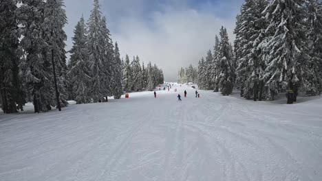 Toma-Pov-De-Esquiador-Esquiando-Por-La-Pendiente-Cubierta-De-Nieve-5