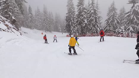 POV-Shot-Of-Skier-Skiing-Down-Misty-Snow-Covered-Mountain