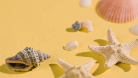 Summer-Holiday-Concept-Of-Hand-Picking-Up-Shells-Starfish-On-Yellow-Background
