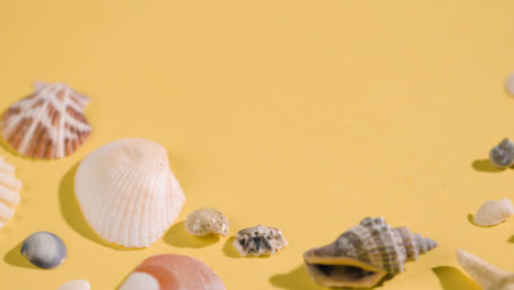 Summer-Holiday-Concept-Of-Hand-Picking-Up-Shells-Starfish-On-Yellow-Background-1