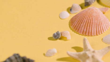 Summer-Holiday-Concept-Of-Hand-Putting-Down-Shells-Starfish-On-Yellow-Background-1