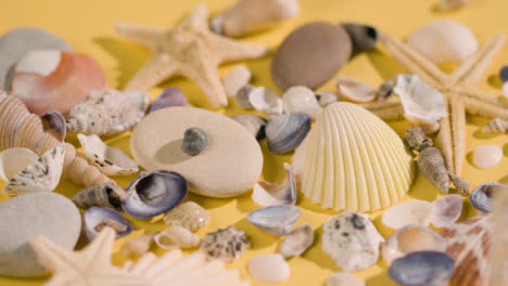 Summer-Holiday-Vacation-Concept-With-Shells-Pebbles-Starfish-On-Yellow-Background