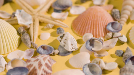 Summer-Holiday-Vacation-Concept-With-Shells-Pebbles-Starfish-1