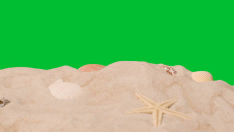 Summer-Holiday-Concept-Person-Collecting-Shells-Starfish-On-Sandy-Beach-Against-Green-Screen