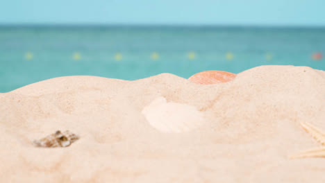 Summer-Holiday-Concept-With-Shells-Starfish-On-Sandy-Beach-In-Foreground-Against-Sea