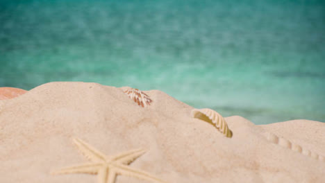 Summer-Holiday-Concept-With-Shells-Starfish-On-Sandy-Beach-In-Foreground-Against-Sea-1