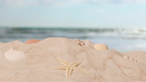 Summer-Holiday-Concept-With-Shells-Starfish-On-Sandy-Beach-In-Foreground-Against-Sea-2
