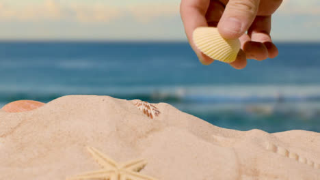Summer-Holiday-Concept-Person-Collecting-Shells-Starfish-On-Sandy-Beach-Against-Sea-Background-1