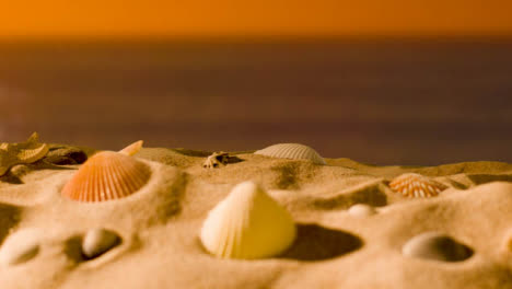 Sommerferienkonzept-Mit-Muscheln-Seesterne-Am-Sandstrand-Gegen-Meer-Und-Sonnenuntergang-Himmel