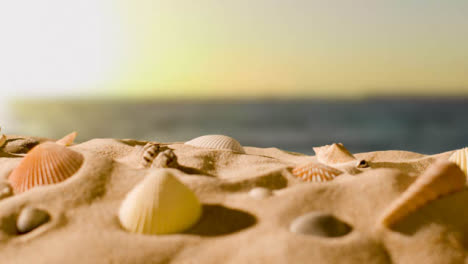 Summer-Holiday-Concept-With-Shells-Starfish-On-Sandy-Beach-Against-Sea-And-Sunset-Sky-1