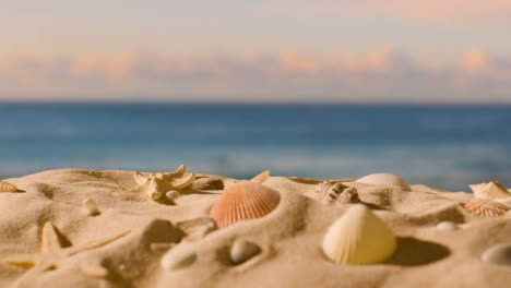 Summer-Holiday-Concept-With-Shells-Starfish-On-Sandy-Beach-Against-Sea-And-Sunset-Sky-2