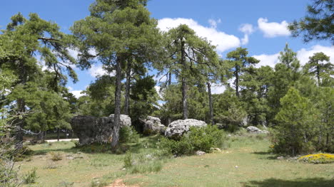 Spain-Serrania-De-Cuenca-Pines-Rise-Above-Rocks