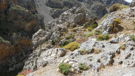 Grecia-Creta-Kourtaliotiko-Desfiladero-Plantas-En-Medio-De-Rocas