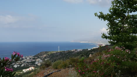 Griechenland-Kreta-Nordküste-Baum-Gerahmte-Ansicht