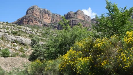 Spain-Pyrenees-Rocky-Cliffs-And-Spanish-Broom