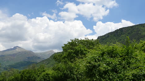 Spanien-Pyrenäen-Bäume-An-Einem-Berghang