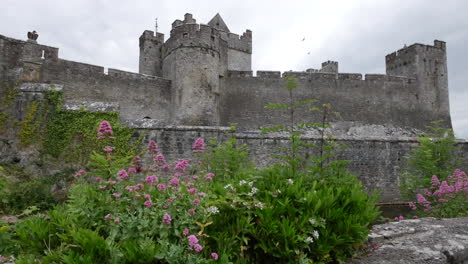 Ireland-Cahir-Castle-Towers