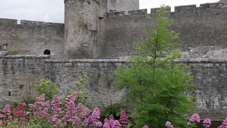 Ireland-Cahir-Castle-Wall-With-Flowers-Tilt-Up